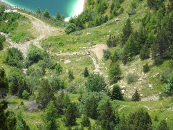  Retour dans la vallee - Passage aux abords du Sellaret